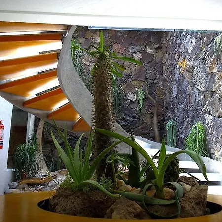 Casa O - Tu Hogar Boutique En Puebla Con 6 Recamaras Y Terraza Privada El Gallinero Exterior photo