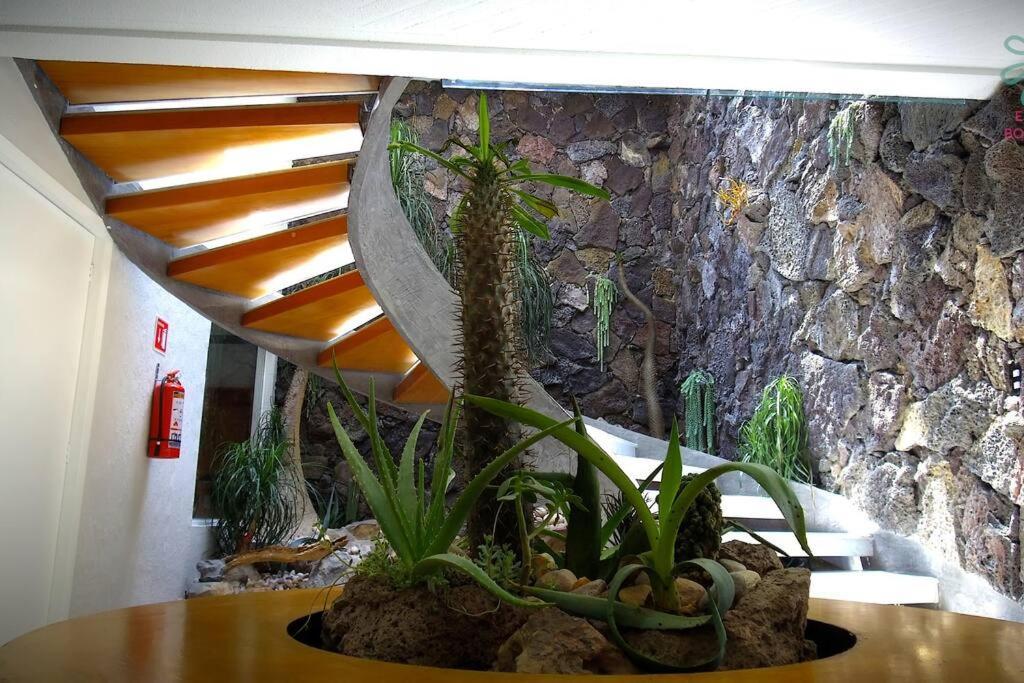 Casa O - Tu Hogar Boutique En Puebla Con 6 Recamaras Y Terraza Privada *